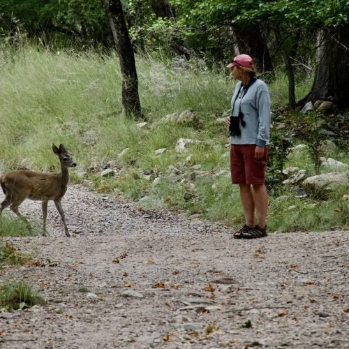IMG_2858 Cristin counsels a doe in Arizona
